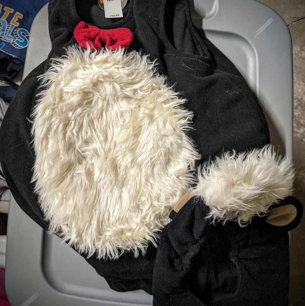 Children's Place 18-24 month Skunk Costume